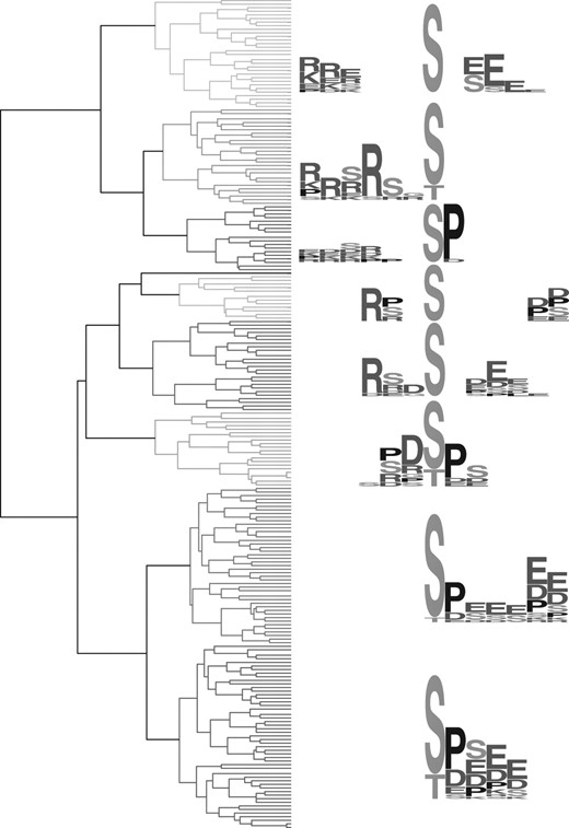 Hierarchical clustering of MMFPh motifs from the NCI-H23 dataset