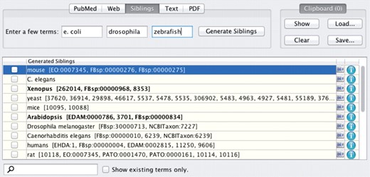 Screenshot of sibling generation results in the DOG4DAG plugin for Protégé