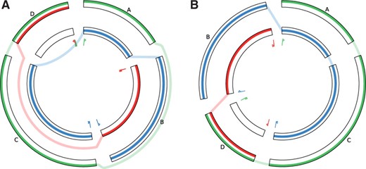 The influence of block sorting. The alignment of (A) is shown sorted according to the green genome (B). This optimal sort order reduces the number of jumps from four to two. The long jumps over a total of three blocks which added up to over 300○ in length have become unnecessary