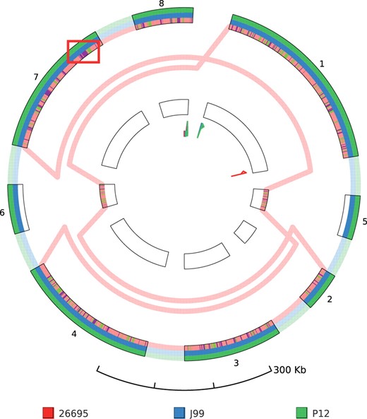 GenomeRing visualization of an alignment of three H. pylori strains (26695, J99, P12). For this view, the minimal block length was set to 50 kb. Two large-scale inversions between 26695 and J99/P12 are represented by blocks 5 and 6. Gene expression data for 26695 has been mapped into the corresponding lane (red) of all blocks. Genes upregulated in condition HU or AS are shown on the red lane, colored purple and green, respectively. The region that is shown in more detail in Fig. 5 is highlighted by a red rectangle (not part of GenomeRing visualization)