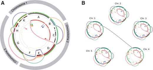 Visualization of multiple chromosomes in an alignment. (A) concatenating chromosomal alignments. (B) representing each chromosome by a circular view and adding inter-circle jumps to represent evolutionary events involving several chromosomes