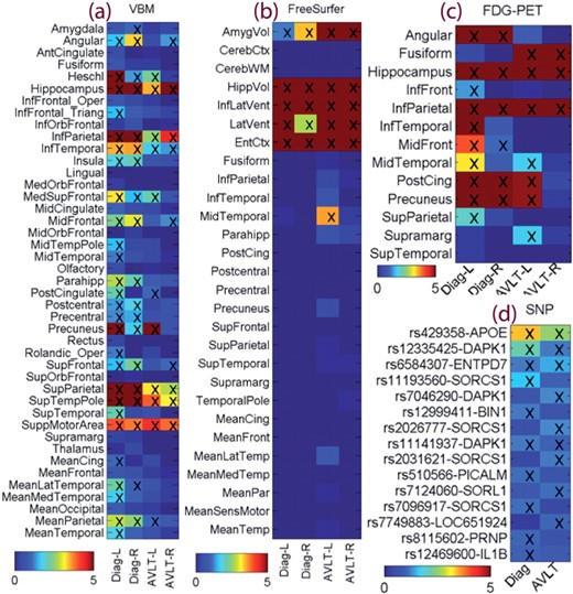 Weight maps for multimodal data: (a) VBM measures from MRI, (b) FreeSurfer measures from MRI, (c) glucose metabolism from FDG-PET, and (d) top SNP findings. Weights for disease classification were labeled as Diag-L (left side), Diag-R (right side) or Diag; and weights for RAVLT regression were labeled as AVLT-L, AVLT-R or AVLT. In (a–c), weights were normalized by dividing the corresponding threshold used for feature selection, and thus all selected features had normalized weights ≥1 and were marked with ‘x’. In (d), only top SNPs were shown, weights were normalized by dividing the weight of the 10th top SNP, and the top 10 SNPs for either classification or regression task had normalized weights ≥1 and were marked with ‘x’