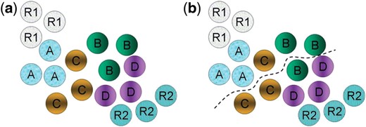 (a) The input with the feature vectors of images associated with positive and negative controls R1 and R2 and four different drugs drug A, drug B, drug C and drug D; (b) The bipartition boundary after the cut is found: if R2 contains negative controls, such as the completely fragmented state of mitochondria for toxicity criterion, while R1 contains positive controls, representing cells in a desired normal healthy state with mitochondria rescued from the completely fragmented, then FABSdrug A=1, FABSdrug B=2/3, FABSdrug C=1/3, and FABSdrug D=0. Our ranking of the drugs will be: drug A >> drug B >> drug C >> drug D, where x >> y indicates that x is more effective than y