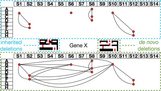 We show the graph G superimposed on M′ with the trio rows denoted A–H and the SNPs denoted S1–S14 for inherited and de novo deletion interpretations. For inherited deletions, Gene X displays three small 3-cliques each conferring little evidence of being a true deletion. When interpreting this data for de novo deletions, the second trio shows evidence for one larger de novo deletion. In G, we see that the second trio now becomes a hub for connections to trios C through F. The outlined black, red and white maps are deletion heat maps representing M′. Regions of 1's and 0's are represented by red and white, respectively. Regions of X's and 0's are represented by black.