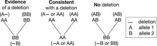 Each trio inheritance pattern can be classified into three categories under the interpretation of inherited deletions. The evidence of deletion pattern provides evidence for the presence of an inherited deletion. The no deletion pattern provides evidence for the absence of a deletion. The consistent with a deletion pattern does not provide strong evidence for the presence or absence of a deletion.