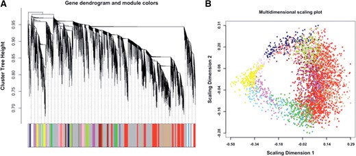 High-level structure of the RNA-Seq coexpression network. Modules are denoted by arbitrary colors. (A) Dendrogram based on the topological overlap between transcripts. (B) Multidimensional scaling plot of dissimilarities between genes, based on topological overlap. Module genes appear clustered together