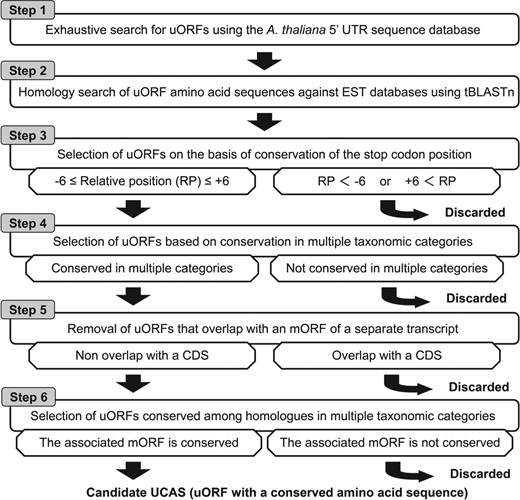 Outline of genome-wide search for A. thaliana UCASs using BAIUCAS