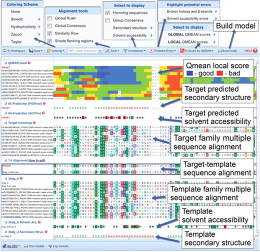 The MODalign result page. The alignment can be edited in the target-template alignment section. When the alignment is modified, the output, such as coloring by sequence conservation or highlighting of potential errors, is modified in real time, while QMEAN can be recalculated on request.