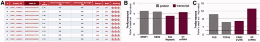 catRAPID omics features and performances. (A) Example of the output table showing Z-score (interaction propensity normalized with respect to experimental cases), discriminative power (with respect to training sets), interaction strength (enrichment with respect to random interactions) and presence of RNA binding domains as well as RNA motifs. Interaction scores are ranked according to a ‘star rating system’ ranging from 0 to 3 (http://service.tartaglialab.com/static_files/shared/faqs.html). A click on the text redirects to reference pages. Performances on (B) full-length proteins and (C) RNA binding protein domains. Gray is used to highlight transcriptomic studies (i.e. RNA sequencing) and red indicates proteomic analyses (i.e. mass spectrometry). The significance of our predictions was assessed using Fisher’s exact test (the dashed line corresponds to P = 0.05)