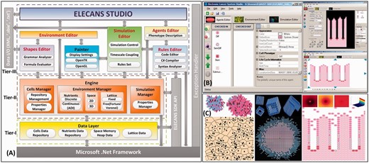 ELECANS software design and simulation examples, (A) ELECANS architectural layout, (B) ELECANS Studio and Editors, (C) Illustration of various simulation scenarios and the cell environmental bio-molecular profiles that can be developed using ELECANS
