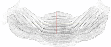 The final set of predicted Purkinje cell centers as a point cloud