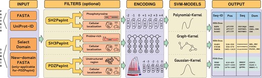 Schematic representation of the MoDPepInt pipeline