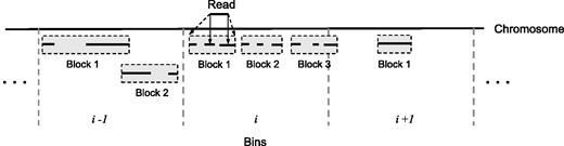 Genomic bins and feature blocks. Each chromosome is divided into 128 kb bins. Features (solid lines under the chromosome) are assigned to bins according to their start positions and grouped into blocks (gray boxes) within each bin. Query reads are compared with genomic bins, then with blocks (dashed arrows) and finally with features (solid arrows). The query read in the figure overlaps with two features in the first block of bin i