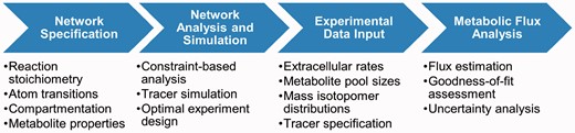 Steps in the INCA analysis workflow