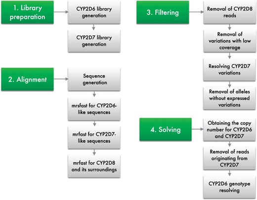 Graphical representation of the steps employed by our framework