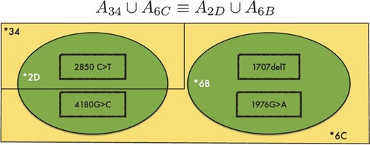 The ambiguous case where two genotypes *6C/*34 (yellow) and *2D/*6B (green) are equally likely. Key c.2850 C > T and c.4180 G > C are too distant to be resolved with the currently available HTS data