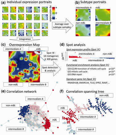 oposSOM analysis of a cohort of 220 mature B-cell lymphoma cases (see text)