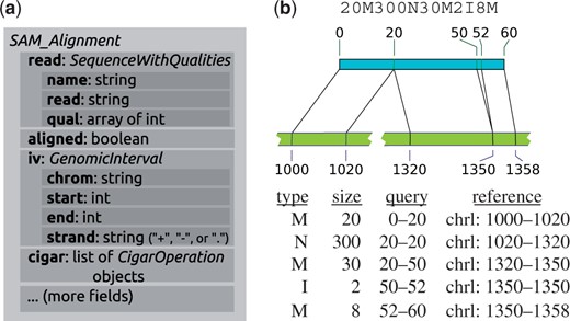  ( a ) The SAM_Alignment class as an example of an HTSeq data record: subsets of the content are bundled in object-valued fields, using classes (here SequenceWithQualities and GenomicInterval ) that are also used in other data records to provide a common view on diverse data types. ( b ) The cigar field in a SAM_alignment object presents the detailed structure of a read alignment as a list of CigarOperation . This allows for convenient downstream processing of complicated alignment structures, such as the one given by the cigar string on top and illustrated in the middle. Five CigarOperation objects, with slots for the columns of the table (bottom) provide the data from the cigar string, along with the inferred coordinates of the affected regions in read (‘query’) and reference 