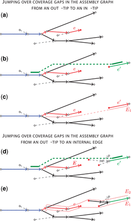 Jumping over coverage gaps in the assembly graph from an out-tip to an in-tip: (a) an extension path E (marked red) ending with an out-tip e; (b) the only P-supported edge e′ is an in-tip (marked green); (c) the path E is extended by an edge e′ with a gap (red line). Jumping over coverage gaps in the assembly graph from an out-tip to an internal edge: (d) the only P-supported edge e′ is not an in-tip (marked green) and (e) paths E1 and E2 that start with in-tips and contain P-supported edge e′, both paths are considered as possible extensions for E (shown by red lines)