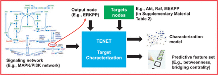 Target characterization problem