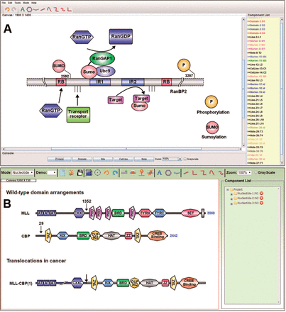 The main interface of IBS. (A) The standalone software showing the domain organization of E3 SUMO-protein ligase RanBP2 (Flotho and Werner, 2012). (B) The online service presenting the organization of bromodomain proteins and translocations in cancer (Muller et al., 2011)