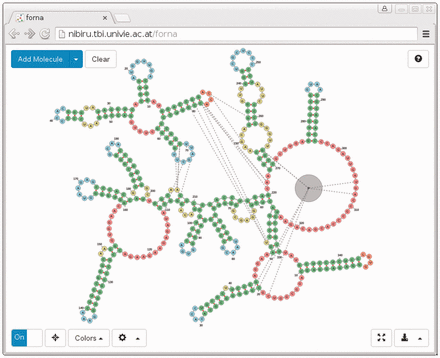 Screenshot of forna web app displaying the ‘Bacterial Ribonuclease P Holoenzyme in Complex with tRNA’ (PDB ID: 3Q1Q). Immediately evident are the regions of the tRNA which are in contact with the ribonuclease, namely the 5′ and 3′ end nucleotides, as well as the TΨC loop. An RNA-binding protein is shown as a gray node in the lower-right hand region of the diagram