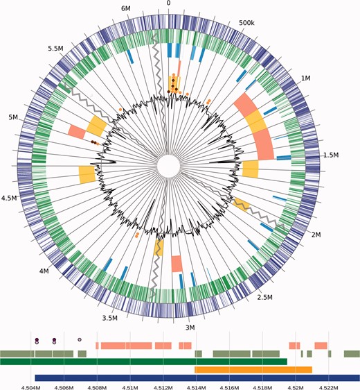 GenomeD3Plot circular and linear visualization of an example genome with annotation data. See www.pathogenomics.sfu.ca/islandviewer/demo and http://bl.ocks.org/lairdm/6a770c94c6793eee660d to see GenomeD3Plot’s more dynamic nature