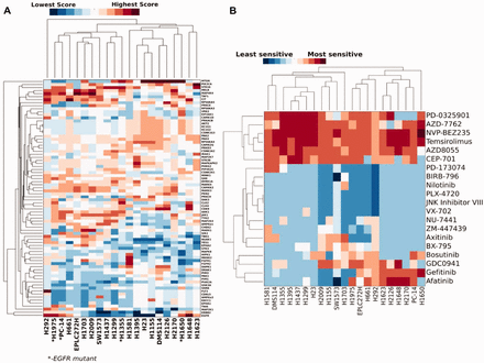 KAR identifies relationships in kinase dependence among lung cancer cell lines. (A) Hierarchical clustering of scaled KAR scores for 21 lung cancer cell lines, showing relationships among cell lines and kinases. (B) Hierarchical clustering of drug IC50 data for the 20 overlapping drugs in each cell line’s dataset. Each column was normalized before clustering to give a mean of 0 and a standard deviation of 1. Red indicates that a cell line has higher sensitivity to a given kinase/drug and blue indicates relatively lower sensitivity. Clustering results differ when clustering based on kinase score vs. drug IC50
