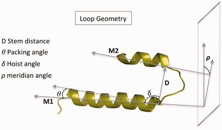 Illustration of the geometric parameters defined in Marti-Renom et al., 1998