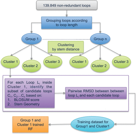 Training procedure workflow