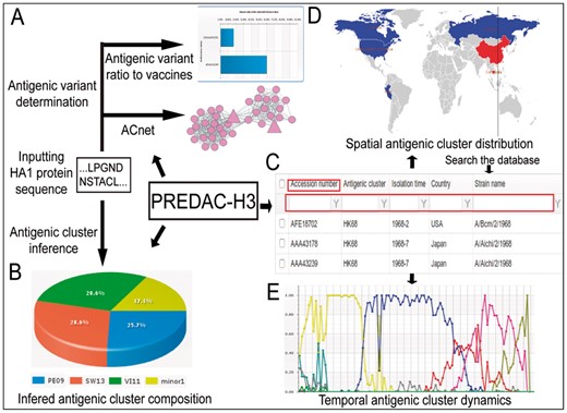 Overview of PREDAC-H3. (A, B, D, E) The outputs for the functionalities of antigenic variant determination, antigenic cluster inference, spatial distribution and temporal dynamics of antigenic clusters, respectively. (C) The database included in the platform, which contains the isolation time, country, accession number and strain name of human influenza A(H3N2) viruses derived from Influenza Virus Resource and the predicted antigenic clusters to which they belong