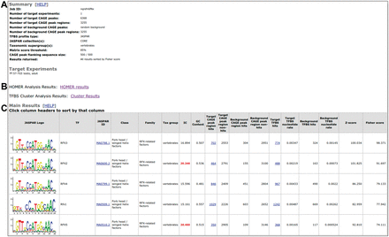CAGEd-oPOSSUM output example. Screen shot of the CAGEd-oPOSSUM output obtained with the mouse testis, adult (FF:57-7G5) FANTOM5 sample. (A) The top of the output page provides a summary of the parameters used by CAGEd-oPOSSUM followed by the list of FANTOM5 samples selected in the foreground. (B) It is followed by links to the results obtained using HOMER and the TF binding profile clusters. (C) The bottom of the page provides a table listing the TF binding profile enrichment information (only the top 5 enriched profiles are shown here) (Color version of this figure is available at Bioinformatics online.)