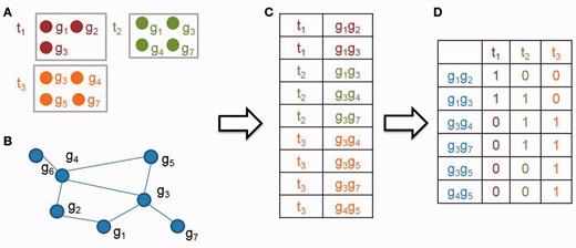 An illustrative example to generate the edge based matrix M. First, an gene pair list (C) is generated based on the list of candidate parent terms and the annotation genes (A) and the gene association network (B). Second, an edge-based binary matrix M (D) is constructed, in which rows and columns represent gene pairs (C) and candidate parent terms (A), respectively. M(i, j) is one or zero, meaning whether the gene pair at the ith row is annotated to the candidate parent term at jth column or not