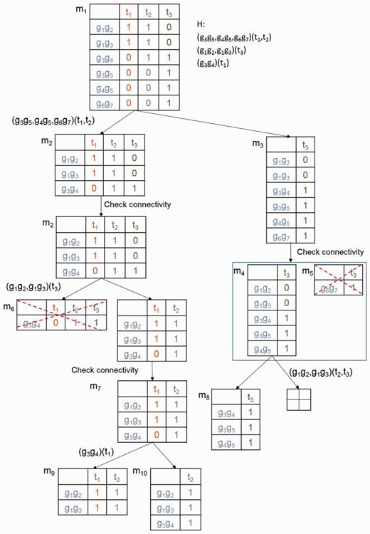 An illustrative example for the process of mining the connected maximal submatrices. mx represents a matrix. Hx is the set of sorted cutters for matrix mx. Hx is decreasing sorted based on the size of genes involved in the rows of mx. m5 and m6 are pruned as its size is smaller than the given threshold. m8, m9 and m10 are the connected maximal submatrices of given m1