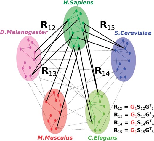 An illustration of the basic principle of NMTF-based data fusion of 5 PPI networks. Low-dimensional matrix factor G1, shown in red, is shared in the decompositions of data sets represented by relation matrices: R12,R13,R14,R15. Therefore, the decomposition of R12 depends on the other relation matrices through the shared matrix G1