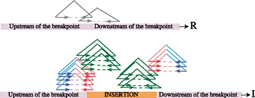 Genotyping novel sequence insertions with Pamir. Here we show an example for calculating r, i and x based on the Figure: r = 2 (the # of mappings passing through the breakpoint on R); il = 9 (the # of mappings passing through the left breakpoint on I); ir = 7 (the # of mappings passing through the right breakpoint on I); i = (il+ir)/2 = 8; x = (i-r)/(i + r) = 0.6