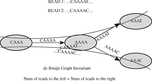 Weighted de Bruijn Graph invariant. The nodes are 4-mers and edges are 5-mers. The nodes and edges are drawn from Read1 and Read2 mentioned in the figure. The solid curve shows the read path. The nodes/edges are not canonicalized