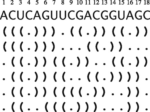 All locally optimal secondary structures of ℓN generated by the grammar Gw for the sequence, and using structural restrictions, described in Figure 3