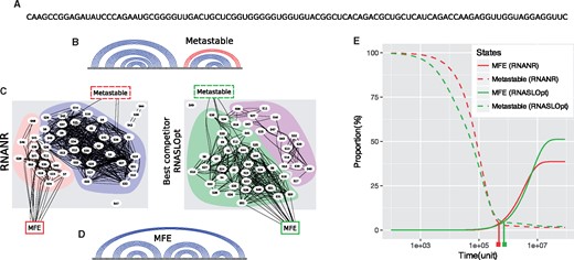Illustration of bistable RNA analysis. Starting from an artificial 100 nt bistable RNA (A), metastable (B) and MFE (D) states are identified, along with key landmarks of the kinetic landscapes, using the non-redundant sampling of RNANR (C, left) and RNASLOpt (C, right). Due to the stochastic nature of the landscape reconstruction methods, the metastable structure identified by RNANR has 3 extra base pairs (B, colored in red). Numerical integration of the master equation using Treekin (D) predicts a shorter switching time for RNANR kinetics landscape than its competitors, suggesting a better coverage of important kinetic intermediate structures