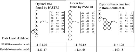 Patient 5 from Rose-Zerilli et al. (2016). This patient was classified as having a complex branching phylogeny using PhyloSub analysis (right). Running PASTRI finds an optimal phylogeny that is mostly linear (left). Restricting to linear phylogenies results in the center tree, which was the third most likely phylogeny out of 115 possible. We calculate the likelihood of the data under both the PASTRI read count observation model, and the PhyloSub observation model that also models sequencing error in observations. Under both models, the likelihood for both trees found by PASTRI are better than the reported branching phylogeny