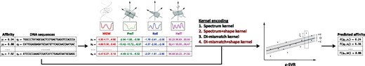 ε-Support Vector Regression (SVR) framework for the alignment-free modeling of TF binding