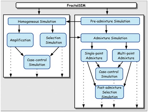 Overall workflow of FractalSIM tool. The bold arrows indicate possible options for simulation, and the dotted arrows indicate possible outputs from FractalSIM
