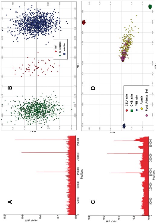 Population bottleneck and post-admixture selection. (A) Minor allele frequency difference between parental reference and simulated population bottleneck (yielding homogeneous unrelated samples, FST = 0.0021 to parental samples), indicating signal of selection at simulated variants under selection pressure. (B) PCA plot of the bottleneck simulation with and without selection and their parental CEU reference population. (C) Minor allele frequency difference between parental admixed and admixed population bottleneck, showing signal of selection at simulated variants as expected. CEU-sim, CHB-sim and YRI-sim are the simulated parental populations while Admix is the initial admixture population and Post-Admix-Sel is the post-admixture simulated population, (D) is the related PCA plot
