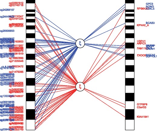Representation of explaining the variability in genomewide transcriptomics data by genomewide epigenomic data using sRDA. The first (red, i.e. below) and the second (blue, i.e. upper) latent variable are shown. Relative to their genomic position, the methylation site names are placed on the left and the top 10 highly correlated associated genes are illustrated on the right (Color version of this figure is available at Bioinformatics online.)