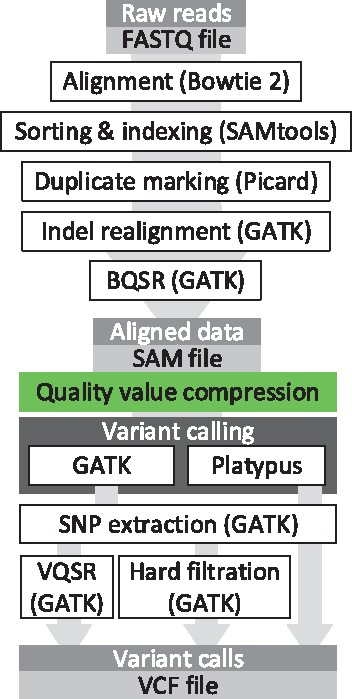 The variant calling pipelines used for the performance assessment of the proposed lossy compressor CALQ