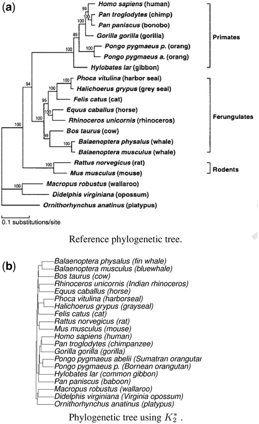 Reference phylogenetic tree from Cao et al. (1998), and the corresponding tree generated using the proposed K2* alignment-free sequence comparison method, using the mtDNA20 dataset