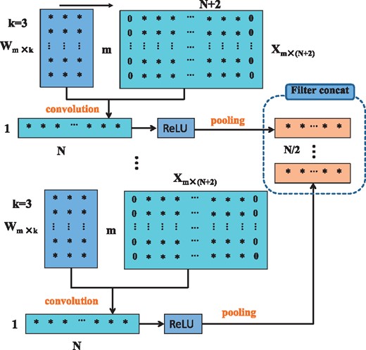 The schema of convolution, ReLU and pooling in a deep learning network for one-dimensional sequence