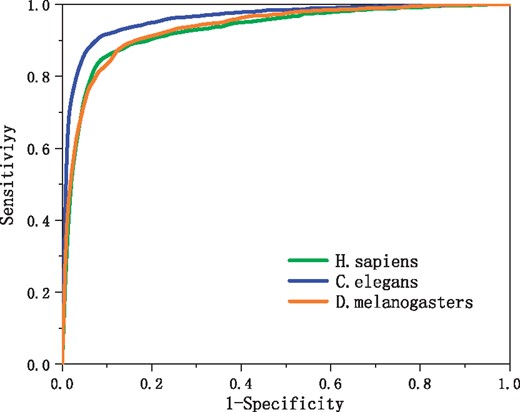 ROC curves obtained from 20-fold cross-validation tests using the genome dataset of H. sapiens, C. elegans and D. melanogaster
