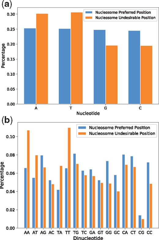 The preference of nucleotide and dinucleotide in nucleosome preferred regions and nucleosome undesirable regions 