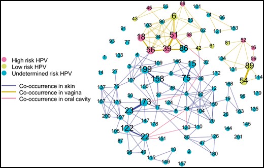 Co-occurrence graph of HPV in skin, vagina and oral cavity HMP samples. It consists of all 104 types of HPV. Each node represents one type of HPV and each edge represents the linked two nodes were found to co-existed. The thickness represents the frequency of co-occurrence in the range of 1–3. The nodes without any edges were not observed to have any co-occurrence. The skin includes anterior nares, left/right retroauricular crease; vagina includes mid vagina, posterior fornix, vaginal inroitus; oral cavity includes saliva, tongue dorsum, nasopharynx and buccal mucosa. Most co-occurrence (edges) happened in skin or vagina and there were only six co-occurrences in the oral cavity